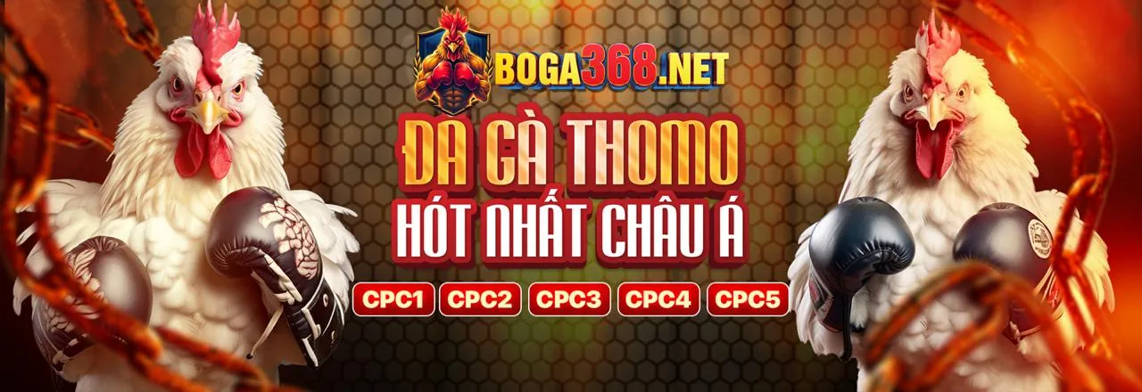 Hình ảnh đại diện cho các điều khoản và điều kiện của G666 khuyến mãi